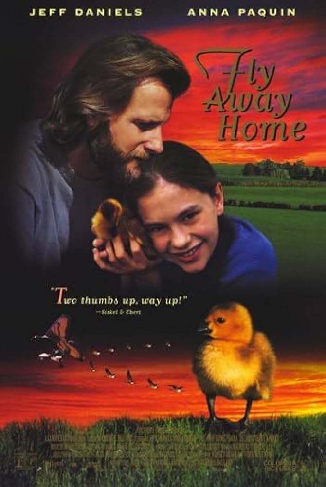 Fly Away Home Poster