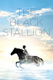 The Black Stallion Poster